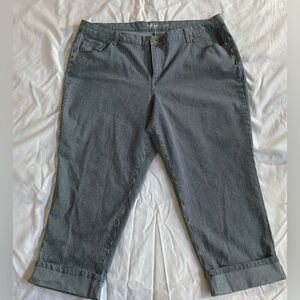 Style & Co blue and White Striped Pants
Size 18